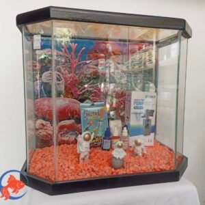 Combo de Acuario Grande Hexagonal con Accesorios Incluidos