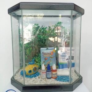 Combo de Acuario Mediano Hexagonal con Accesorios Incluidos