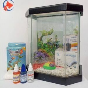 Combo de Acuario Pequeño Hexagonal con Accesorios Incluidos